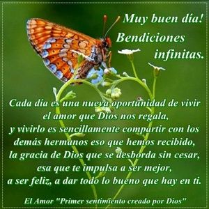 Meet your Posher, Emili